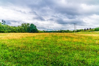 BISHOPSMEADOWS WALK SECTION OF THE NORE LINEAR PARK 009