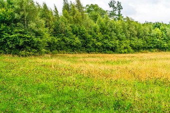 BISHOPSMEADOWS WALK SECTION OF THE NORE LINEAR PARK 006