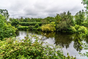 BISHOPSMEADOWS WALK SECTION OF THE NORE LINEAR PARK 005