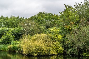 BISHOPSMEADOWS WALK SECTION OF THE NORE LINEAR PARK 003