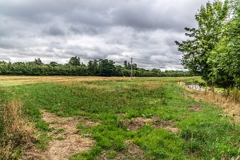 BISHOPSMEADOWS WALK SECTION OF THE NORE LINEAR PARK 002