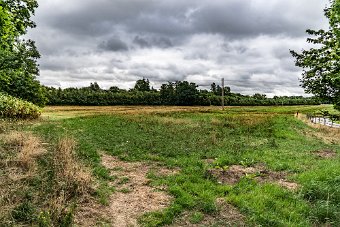 BISHOPSMEADOWS WALK SECTION OF THE NORE LINEAR PARK 001