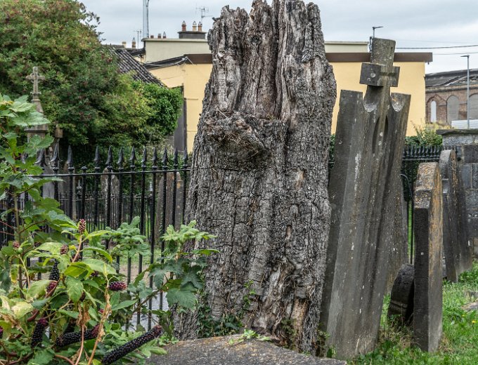 OLD CHURCHYARD KNOWN AS ST. JOHN'S [DUBLIN ROAD KILKENNY]-142965-1