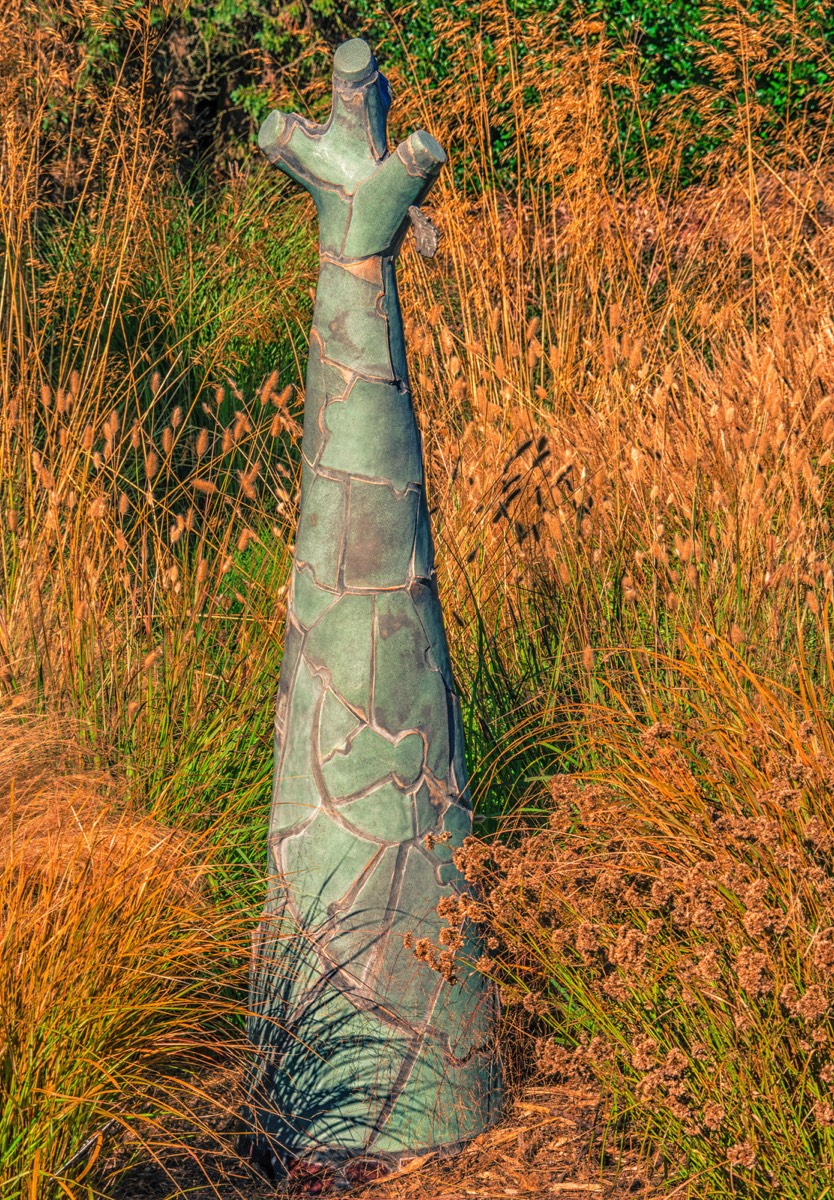 TRUNKATED TREE FORMS BY NIAMH SYNNOTT  001