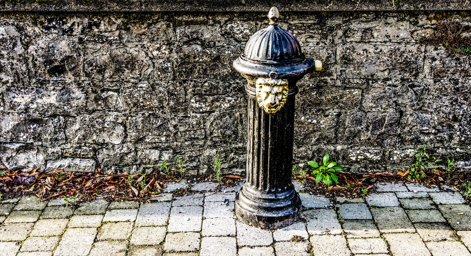  OLD PUBLIC WATER PUMP 