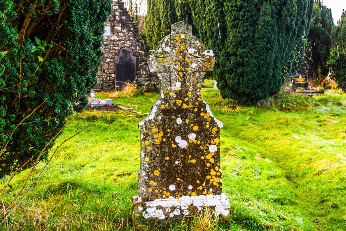 CHRISTMAS VISIT 2014 TO NEWTOWN ABBEY IN TRIM COUNTY MEATH 005