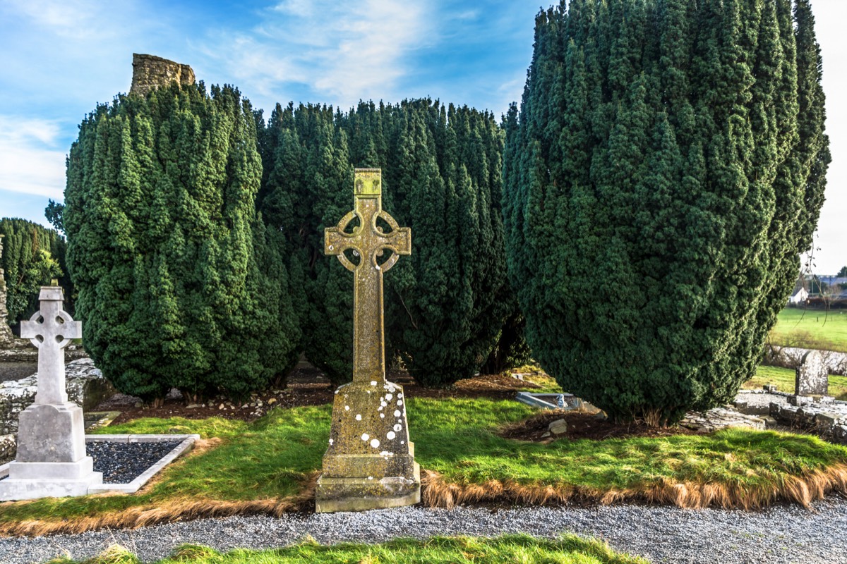 CHRISTMAS VISIT 2014 TO NEWTOWN ABBEY IN TRIM COUNTY MEATH 007