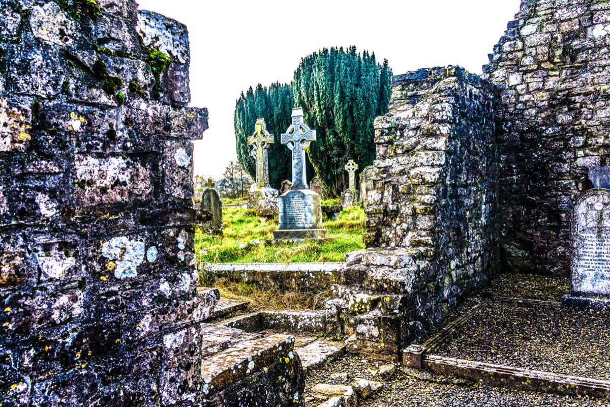 CHRISTMAS VISIT 2014 TO NEWTOWN ABBEY IN TRIM COUNTY MEATH 008