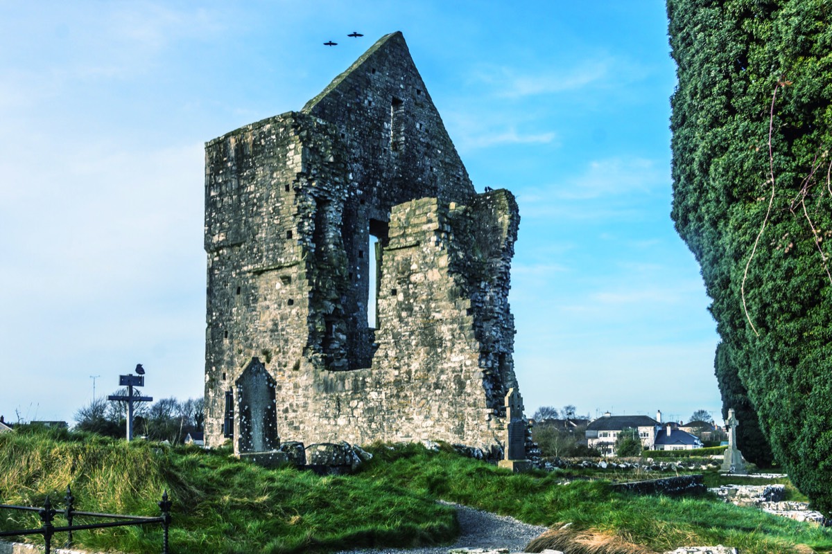 CHRISTMAS VISIT 2014 TO NEWTOWN ABBEY IN TRIM COUNTY MEATH 009