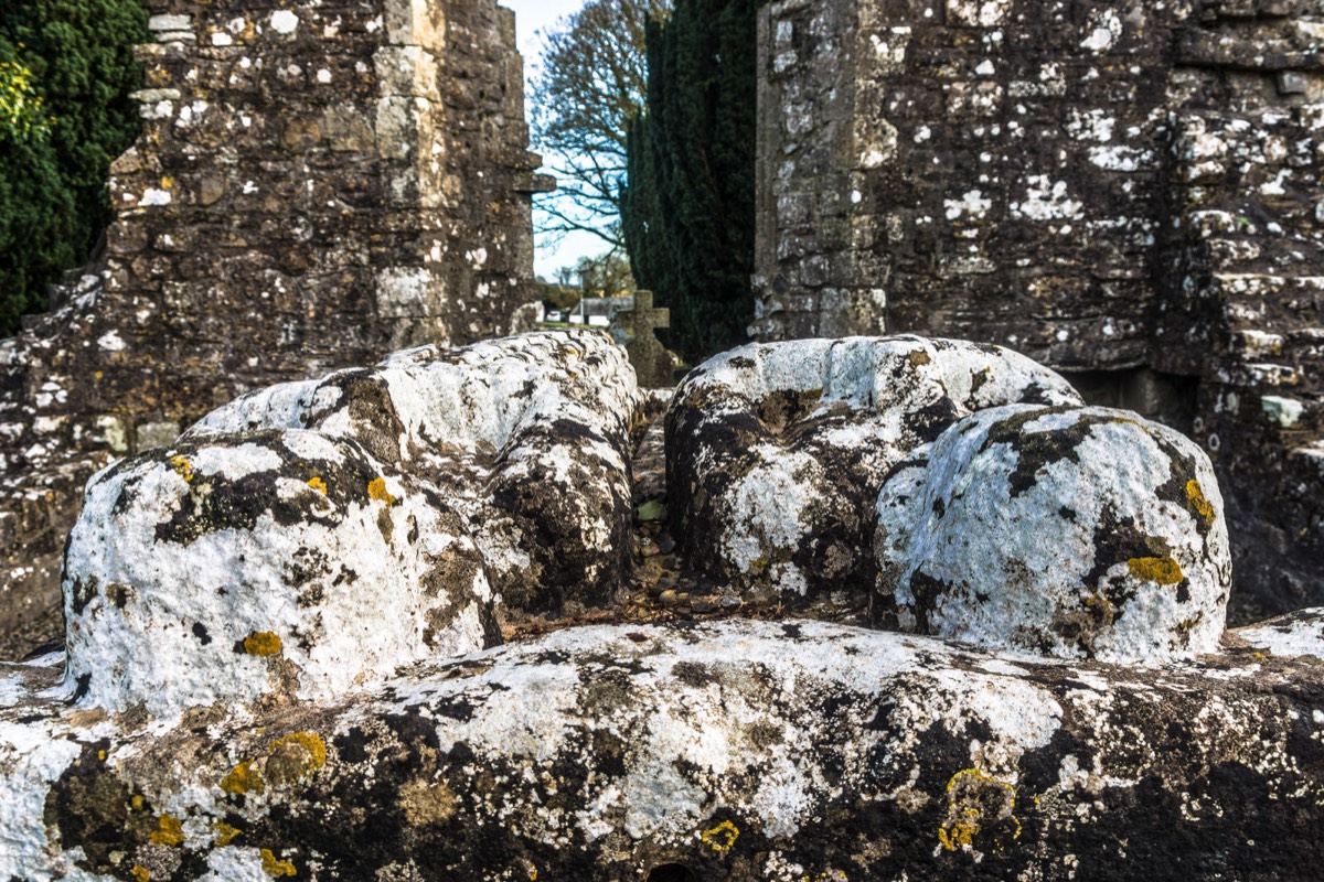 CHRISTMAS VISIT 2014 TO NEWTOWN ABBEY IN TRIM COUNTY MEATH 024CHRISTMAS VISIT 2014 TO NEWTOWN ABBEY IN TRIM COUNTY MEATH 025