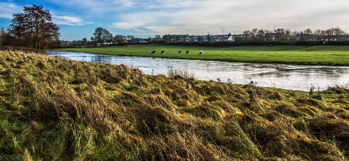 NEWTOWN MONUMENTS AREA OF TRIM - CHRISTMAS MORNING 2014  010