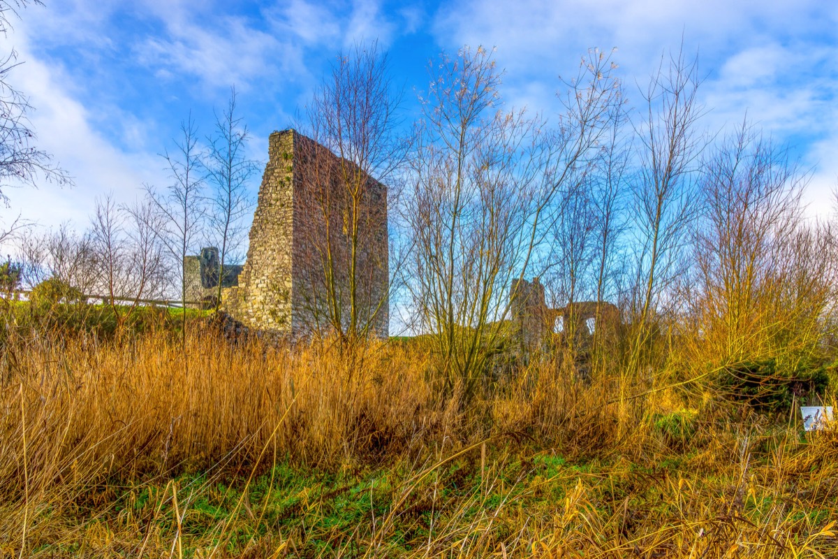 HISTORIC NORMAN CASTLE IN TRIM 011