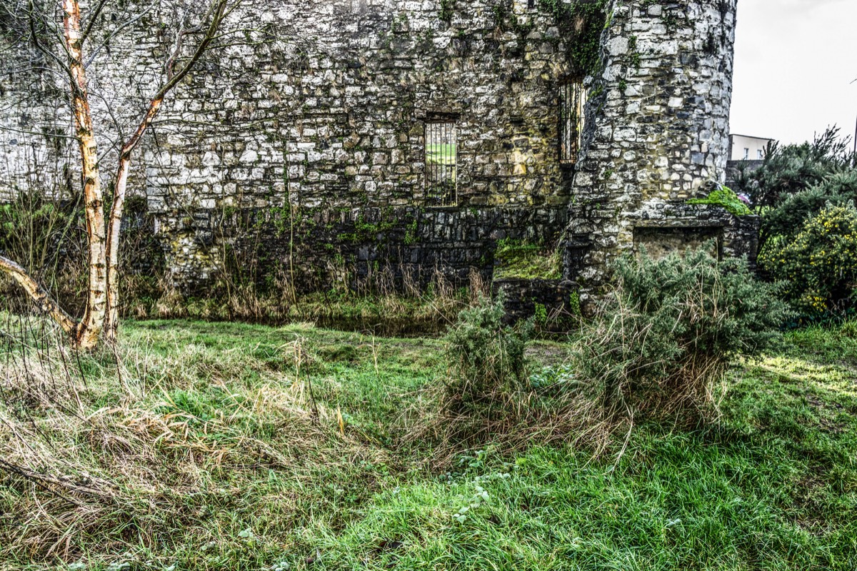 HISTORIC NORMAN CASTLE IN TRIM 023