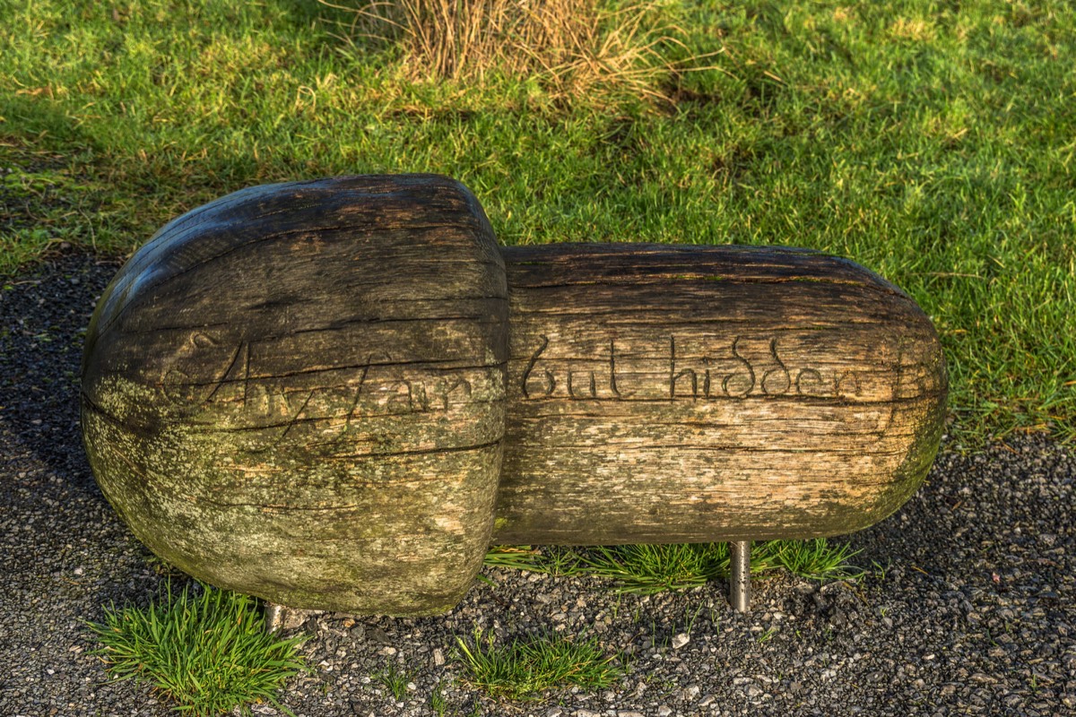 TRIM CASTLE RIVER WALK - CHRISTMAS MORNING 2014 010