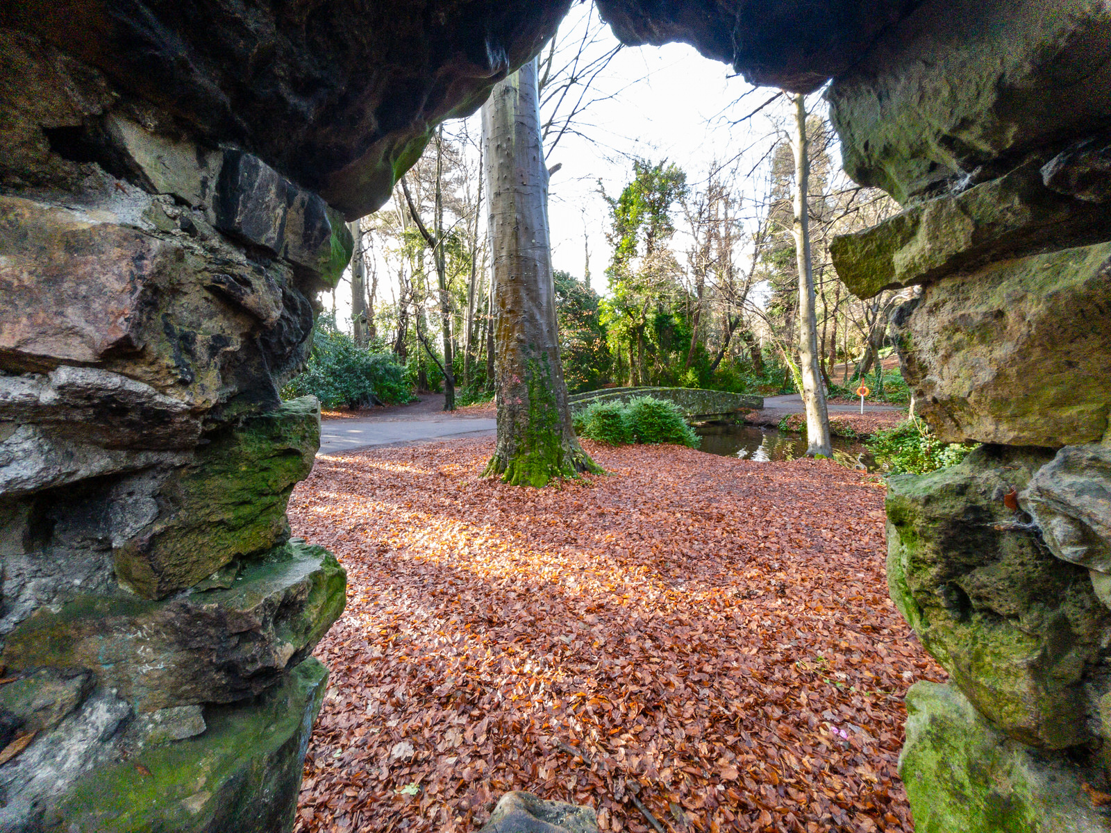 DERELICT SHELL HOUSE IN BUSHY PARK