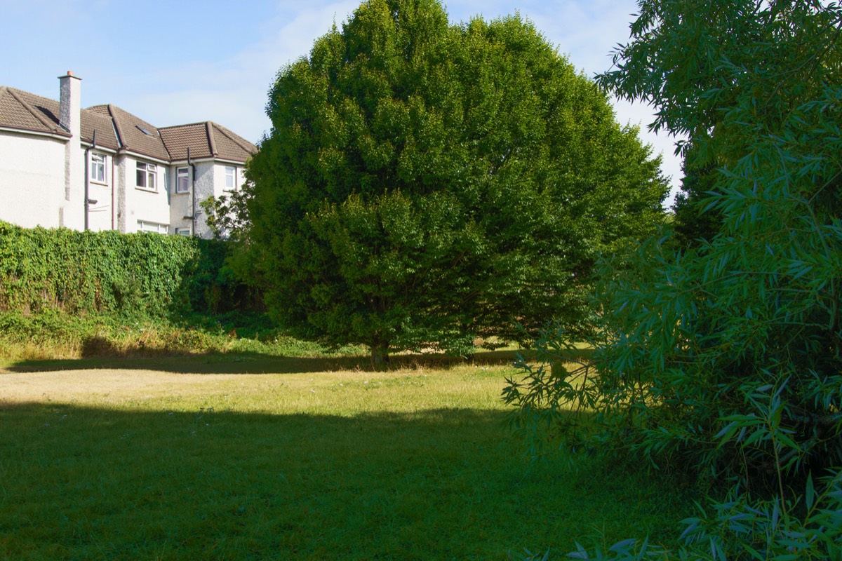 DODDER VIEW ROAD AND SPRINGFIELD AVENUE 1 AUGUST 2022