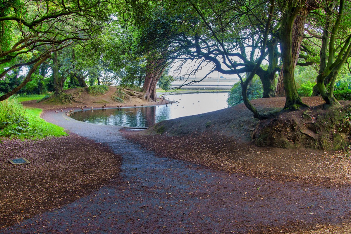 THE POND AT ST ANNE