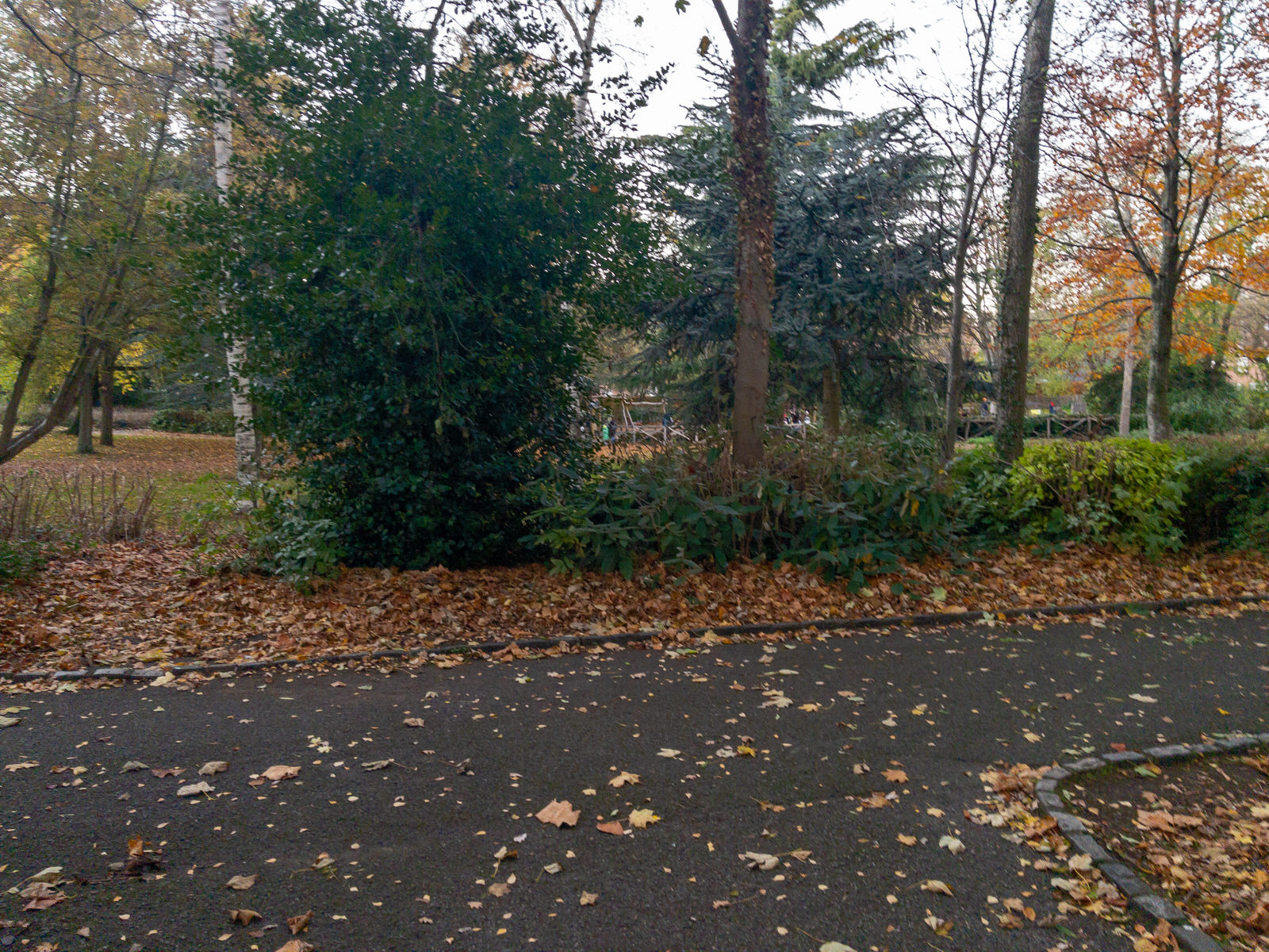 MERRION SQUARE - PUBLIC PARK NOVEMBER 2021