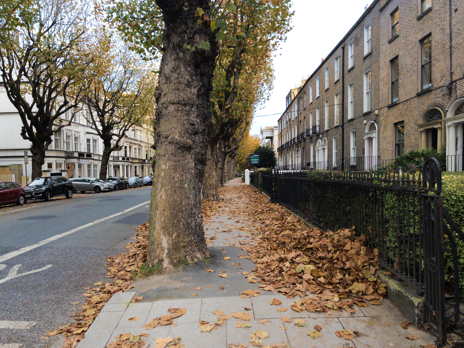 ADELAIDE ROAD IN DUBLIN