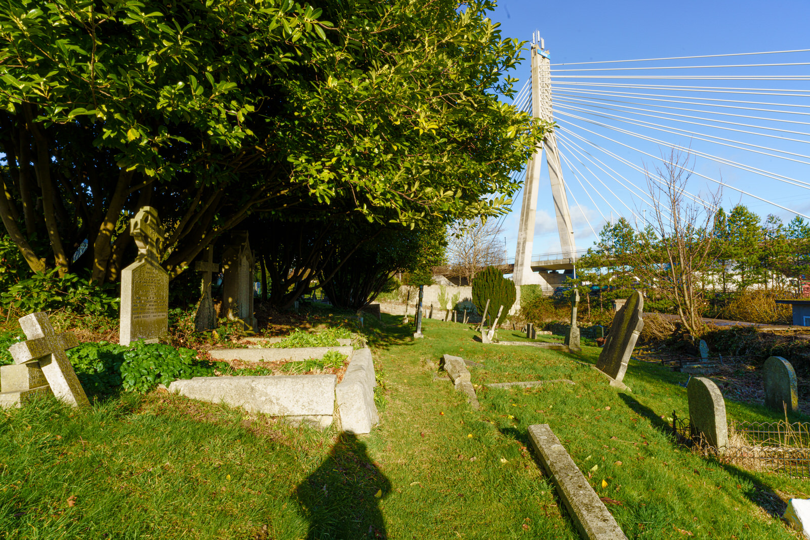 THE WILLIAM DARGAN BRIDGE