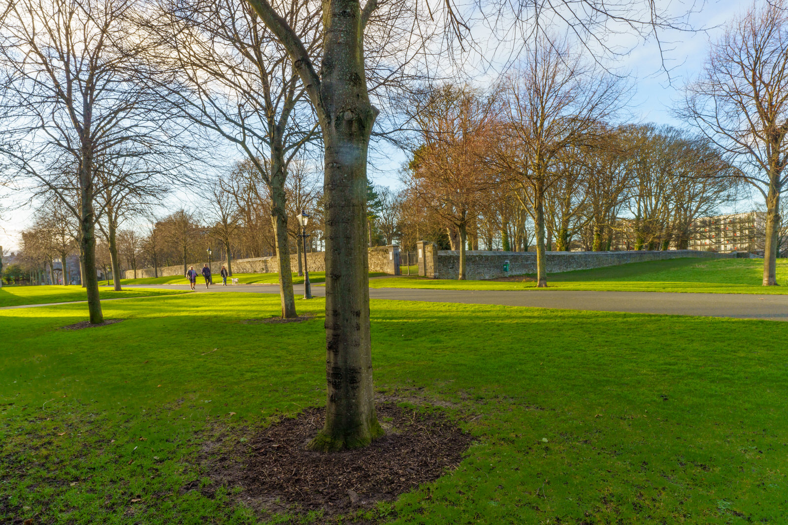 ROYAL HOSPITAL KILMAINHAM