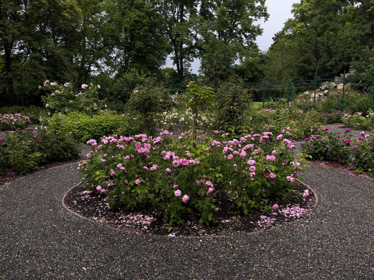 IVEAGH GARDENS A HIDDEN PUBLIC PARK