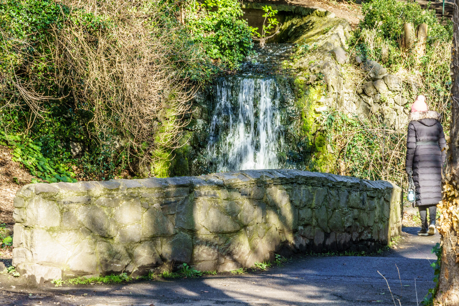 BUSHY PARK ON A SUNNY MORNING