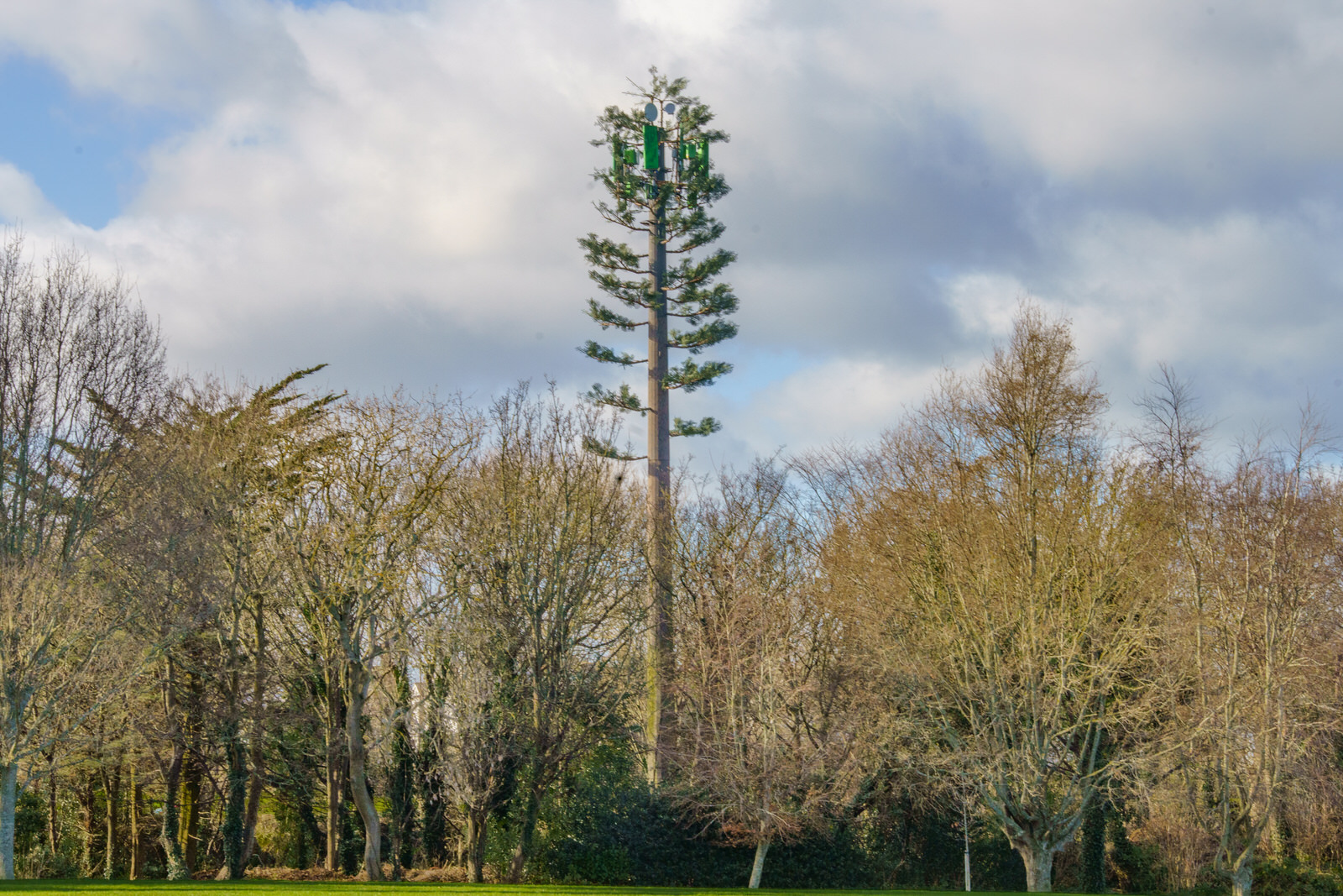 MY FIRST TIME TO SEE A MOBILE TOWER PRETENDING TO BE A FIR TREE MY FIRST TIME TO SEE A MOBILE TOWER PRETENDING TO BE A FIR TREE 
