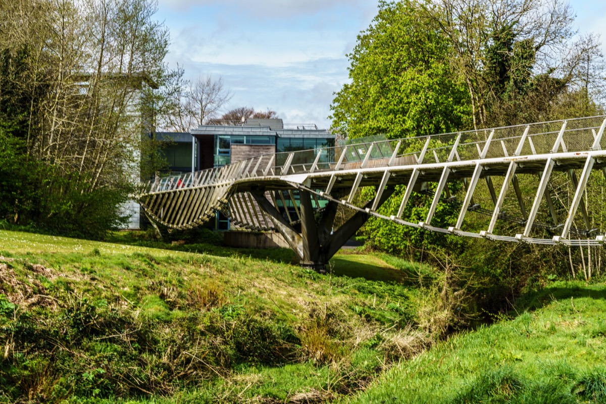 THE LIVING BRIDGE