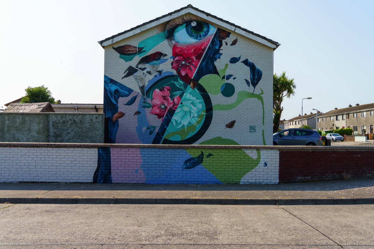 STREET ART IN BALLYBEG 004